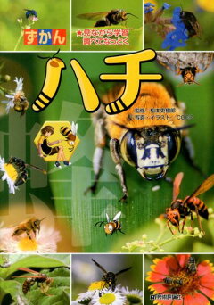 楽天ブックス ずかんハチ 見ながら学習調べてなっとく Coco 本