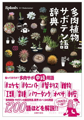 楽天ブックス ペットボトル栽培グリーントイ かわいいサボテン 本