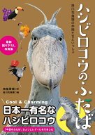 ハシビロコウのふたば [ 南幅俊輔 ]