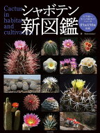 シャボテン新図鑑 85属650種掲載！写真と読み物でサボテンの魅力を伝える新しい図鑑 [ shabomaniac! ]