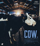 Cow/牛【Blu-ray】