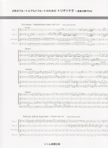 2{̃t[gƃAgt[ĝ߂̃gI\i^ y̕