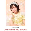 【楽天ブックス限定先着特典】【クレジットカード決済限定】【イベント対象】KAWAII LAB. BEST ALBUM (カワラボ盤)(1/12 特典会参加権【5部】(笹原なな花))