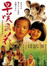 楽天市場 浅丘ルリ子 子供の通販