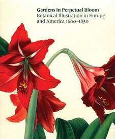 Gardens in Perpetual Bloom: Botanical Illustration in Europe and America 1600-1850 GARDENS IN PERPETUAL BLOOM [ Nancy Keeler ]