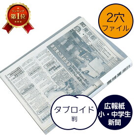 （4546-1002）新聞用リングファイル タブロイド判（2穴）こども新聞 小学生新聞 中学生新聞 広報誌 新聞ファイル バインダー 整理ファイル アーカイブ用 保存用 保管 収納 バインダー 閲覧用 ファイリング 透明 クリアファイル A3より少し小さい 新聞収納