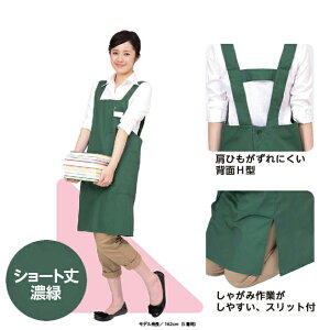 i6709-0215jIWiECu[Gv wH^ J[FZ΁iSFV[g75cmj Xbg |Pbgt VvGv [NGv }كGv X^btp dp 