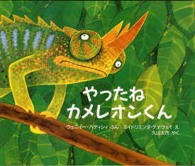 やったねカメレオンくん／ウェニイー・ハディシィ／エイドリエンヌ・ケナウエイ／久山太市【1000円以上送料無料】