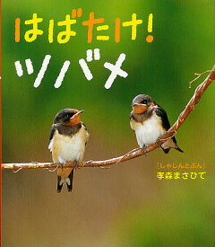 楽天市場 こうもり 絵本の通販