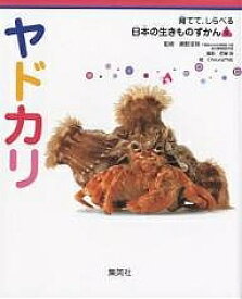 【送料無料】ヤドカリ／佐藤裕／CheungME