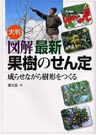 大判図解最新果樹のせん定 成らせながら樹形をつくる／農山漁村文化協会【1000円以上送料無料】