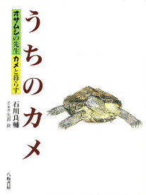 【送料無料】うちのカメ オサムシの先生カメと暮らす／石川良輔