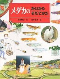 【送料無料】メダカのかいかたそだてかた／小宮輝之／浅井粂男