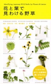 【送料無料】花と葉で見わける野草／近田文弘／亀田龍吉／有沢重雄