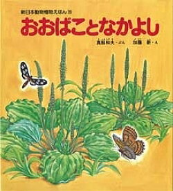 楽天市場 まふねかずおの通販