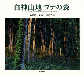 白神山地・ブナの森／斉藤弘也【1000円以上送料無料】