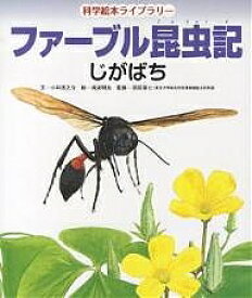 楽天市場 絵本 青虫の通販