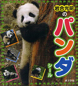 楽天市場 パンダ しかけ絵本 絵本 絵本 児童書 図鑑 本 雑誌 コミックの通販