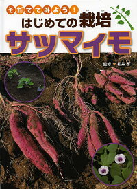 サツマイモ／松井孝【1000円以上送料無料】