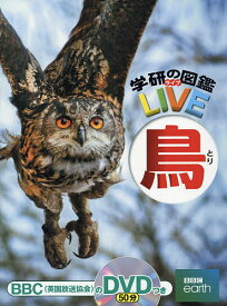 【送料無料】鳥／小宮輝之