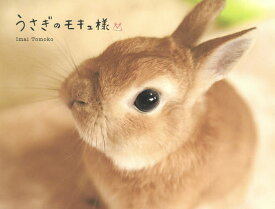 楽天市場 うさぎ 写真集の通販