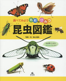 昆虫図鑑／森上信夫【1000円以上送料無料】