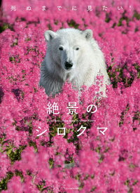 【送料無料】死ぬまでに見たい!絶景のシロクマ