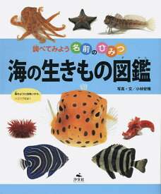 楽天市場 磯 生き物 図鑑の通販