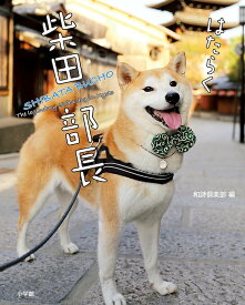 はたらく柴田部長 The Legendary Shiba dog in Kyoto／和詩倶楽部【1000円以上送料無料】