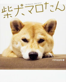 柴犬マロたん／minapple【1000円以上送料無料】