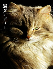 猫ダンディー【1000円以上送料無料】