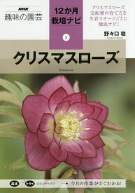 楽天市場 クリスマスローズ 開花株 本 雑誌 コミック の通販