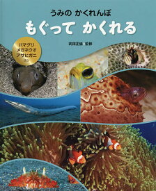 もぐってかくれる ハマグリ・メガネウオ・アサヒガニほか【1000円以上送料無料】