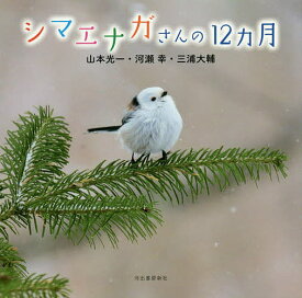 楽天市場 シマエナガ 本 雑誌 コミック の通販