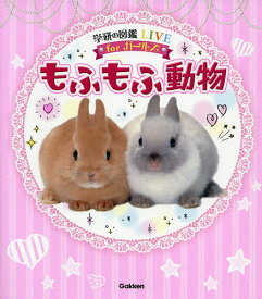 楽天市場 もふもふ動物図鑑の通販 楽天市場 もふもふ動物図鑑の通販