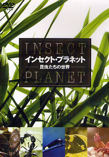 DVD インセクト 【500円引きクーポン】 1000円以上送料無料 プラネット－昆虫たち 品質保証