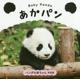 Baby Pandaあかパン／パイインターナショナル／土居利光【1000円以上送料無料】