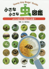 楽天市場 小さい虫の通販