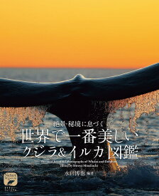 楽天市場 クジラ 写真集の通販