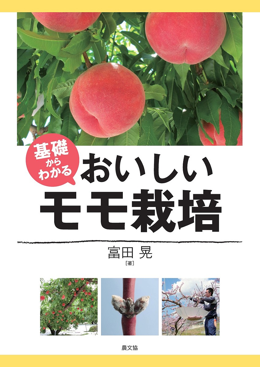 ハイクオリティ 国内在庫 基礎からわかるおいしいモモ栽培 富田晃 1000円以上送料無料