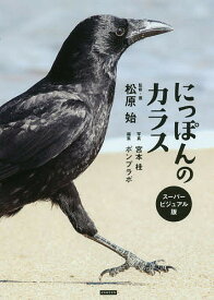 【送料無料】にっぽんのカラス スーパービジュアル版／松原始／・著宮本桂／ポンプラボ