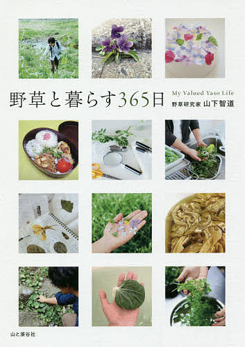 野草と暮らす３６５日 超ポイントアップ祭 9周年記念イベントが 山下智道 1000円以上送料無料