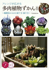 楽天市場 Tokiiro 多肉の通販