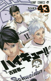 楽天市場 ハイキュー 4の通販