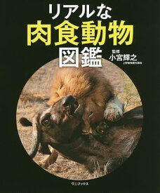 【送料無料】リアルな肉食動物図鑑／小宮輝之