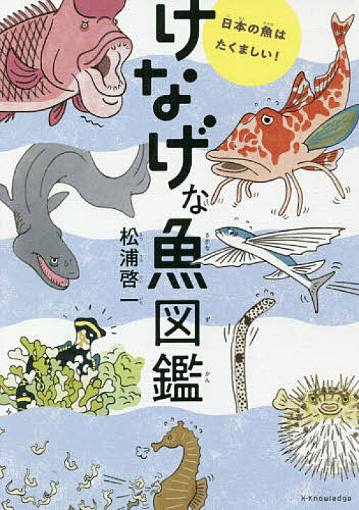 楽天市場 けなげな魚図鑑 日本の魚はたくましい 松浦啓一 1000円以上送料無料 Bookfan 2号店 楽天市場店