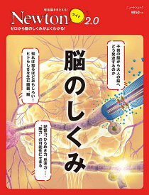 脳のしくみ ゼロから脳のしくみがよくわかる!【1000円以上送料無料】