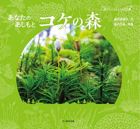 あなたのあしもとコケの森／鵜沢美穂子／新井文彦【1000円以上送料無料】