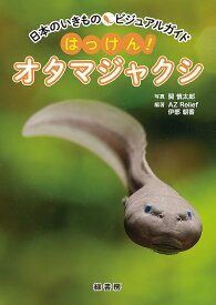 はっけん!オタマジャクシ／関慎太郎／AZRelief／伊部朝香【1000円以上送料無料】