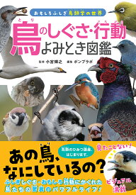 【送料無料】鳥のしぐさ・行動よみとき図鑑／小宮輝之／ポンプラボ